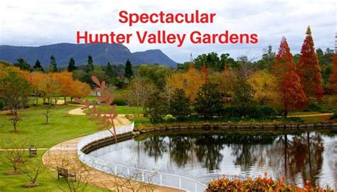 hunter valley gardens entry fee.